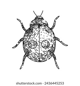 amor mariquita dibujado a mano. escarabajo del pájaro, carácter del conjunto, color animal amor mariquita vector sketch. ilustración aislada negra