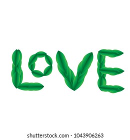 Love letter with green leaf