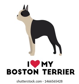 I love my boston terrier