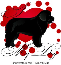 I love my newfoundland
