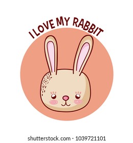 I love my rabbit