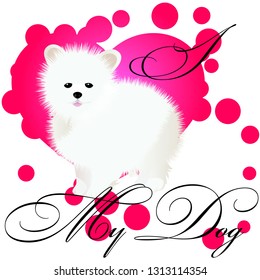 I love my spitz
