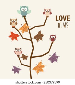 love owls design, vector illustration eps10 graphic 