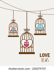 love owls design, vector illustration eps10 graphic 