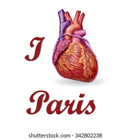 I love Paris . Human heart vector No trace