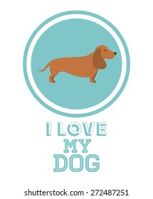 Love pet design over white background, vector illustration