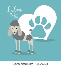 i love pets heart poster vector illustration design