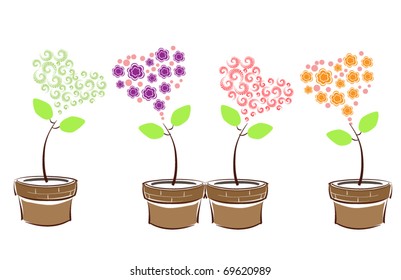 love plant