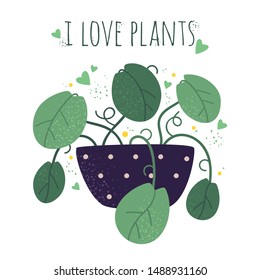 I love plants vector cartoon illustration. House plant in a pot. Flowerpot with flower flat illustration.