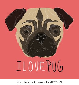I love pug illustration with hand drawn pug portrait 