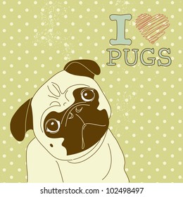I love Pugs! Cute little pug on polka dot background
