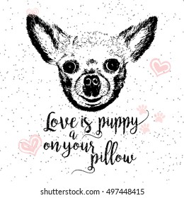 Love is a puppy on your pillow, drawn card and lettering calligraphy motivational quote for dog lovers and typographic design. Cute, friendly, smiling, inspirational doggie with hearts and sparkle. 