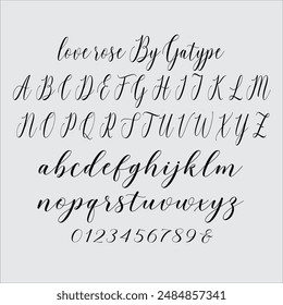 Love Rose es un hermoso guion adecuado para la marca, invitaciones de boda y cualquier otro proyecto romántico. 