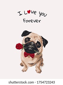 love slogan with cartoon pug dog in bow tie with rose in mouth illustration