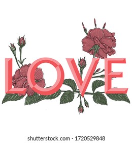 love slogan with flower illustration