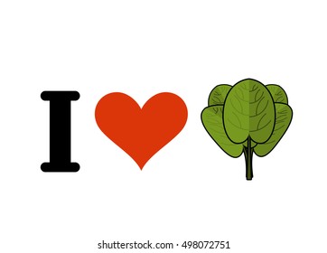 I love spinach. Heart and green leaf lettuce. Fresh greens