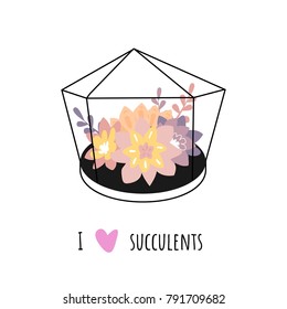 I love succulents. Vector set with cute cactuses and succulents in terrariums. Illustration with home plants in scandinavian style.