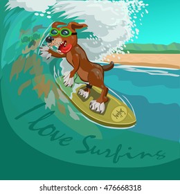 I love surfing