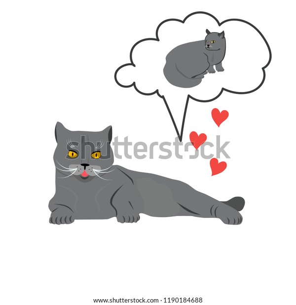 Love Two Cute Cats Breed British Animals Wildlife Objects Stock