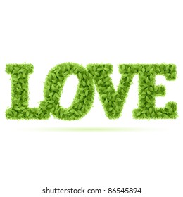 Love word in green leaves. Vector.