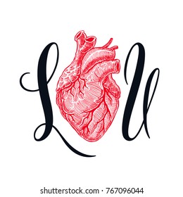 i love you. beautiful human heart. hand-drawn illustration