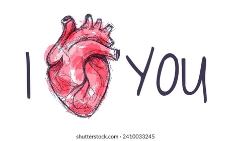 I love you lettering and red heart. Valentines day sketch. Greeting card. Realistic human heart.