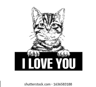 I love you. Little fluffy striped kitten  with a sign. Line art style.