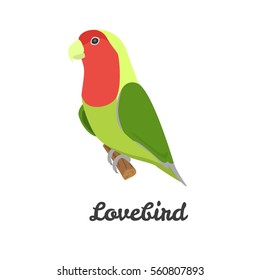 Lovebird color flat icon for web and mobile design