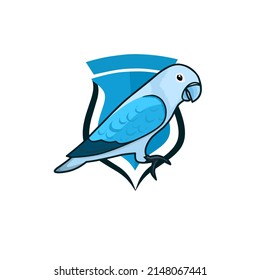 Lovebird graphic vector illustration. Cobalt blue lovebird in elegant style. Perfect for bird club logo design. 