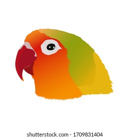 Lovebird head vector for kid book illustration.