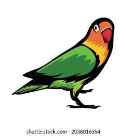 Lovebird mascot Vector Illustration, bird vector eps10