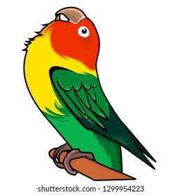 lovebird is on wood vector