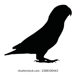 Vector de ave amorosa (cacatú) simple vuelo, hermosa silueta negra.