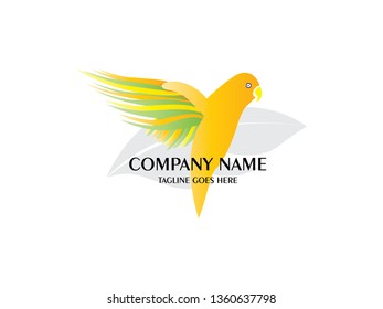 Lovebird vector design template. An exotic bird on white background 