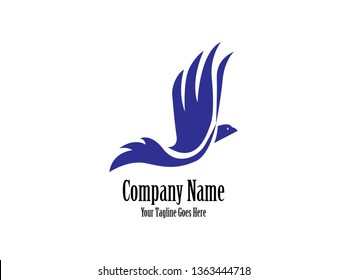 Lovebird vector design template. An exotic bird on white background 