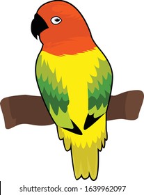lovebird vector and illustration cartoon