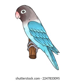 vector de ave amorosa, este pájaro es un pájaro amoroso