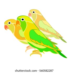 lovebirds parrot family  with red beak  vector illustration
