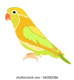 lovebirds parrot with red beak  vector illustration
