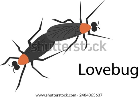 Lovebug - A Concept illustration depicting lovebugs invading an urban area