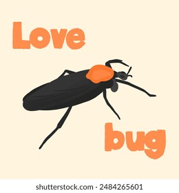 Lovebug - a concept illustration of insects 