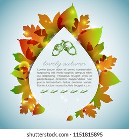 Lovely autumn decorative card with glowing transparent leaves and sketched acorns on pale blue background vector illustration