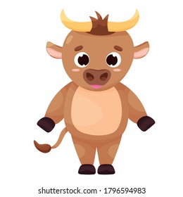 Lovely baby bull on white background