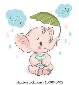 Lovely baby elephant with palm leaf, vector illustration.