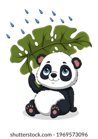 Lovely baby Panda sitting in the rain under a palm leaf, cartoon vector illustration, isolated on white background