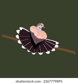 A lovely bird sitting on the branch
