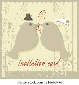 Lovely birds. Couple of  birds on vintage background.