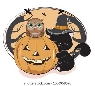 the lovely black cat, owl, kitten, in the witch hat with a spider, embraces pumpkin, the Halloween drawing