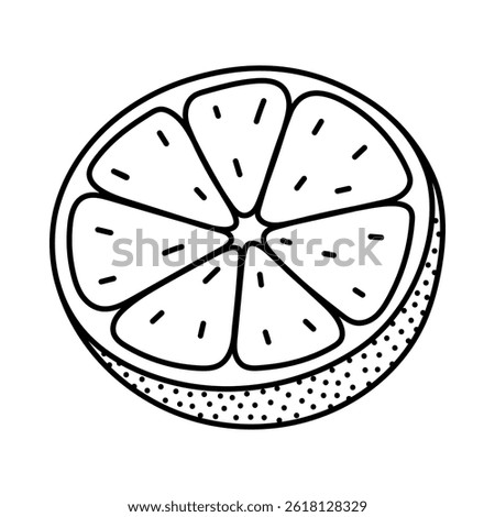 Lovely black and white half of orange with ripe and sour pulp. Cute sliced tropical citrus fruit full of vitamin C. Refreshing grapefruit doodle isolated on background for poster, menu, packaging.