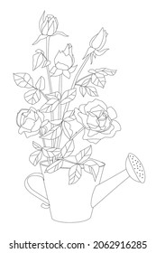 lovely bouquet of fresh roses flowers in a watering can for your coloring book